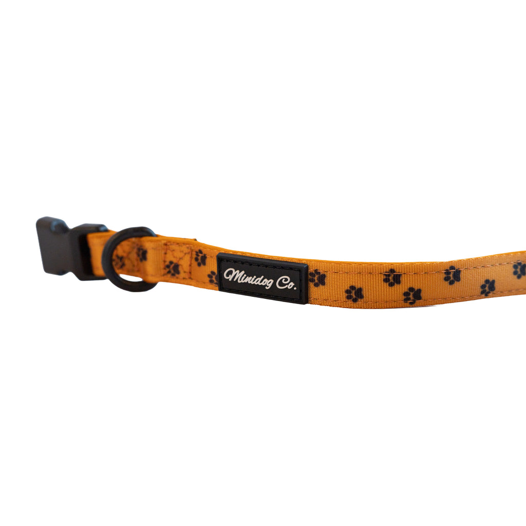 Orange Paw Print