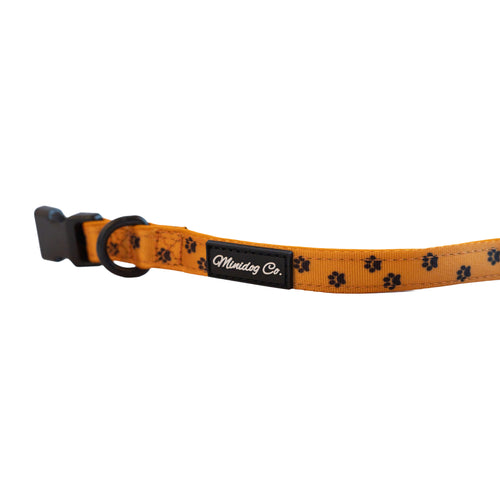 Orange Paw Print