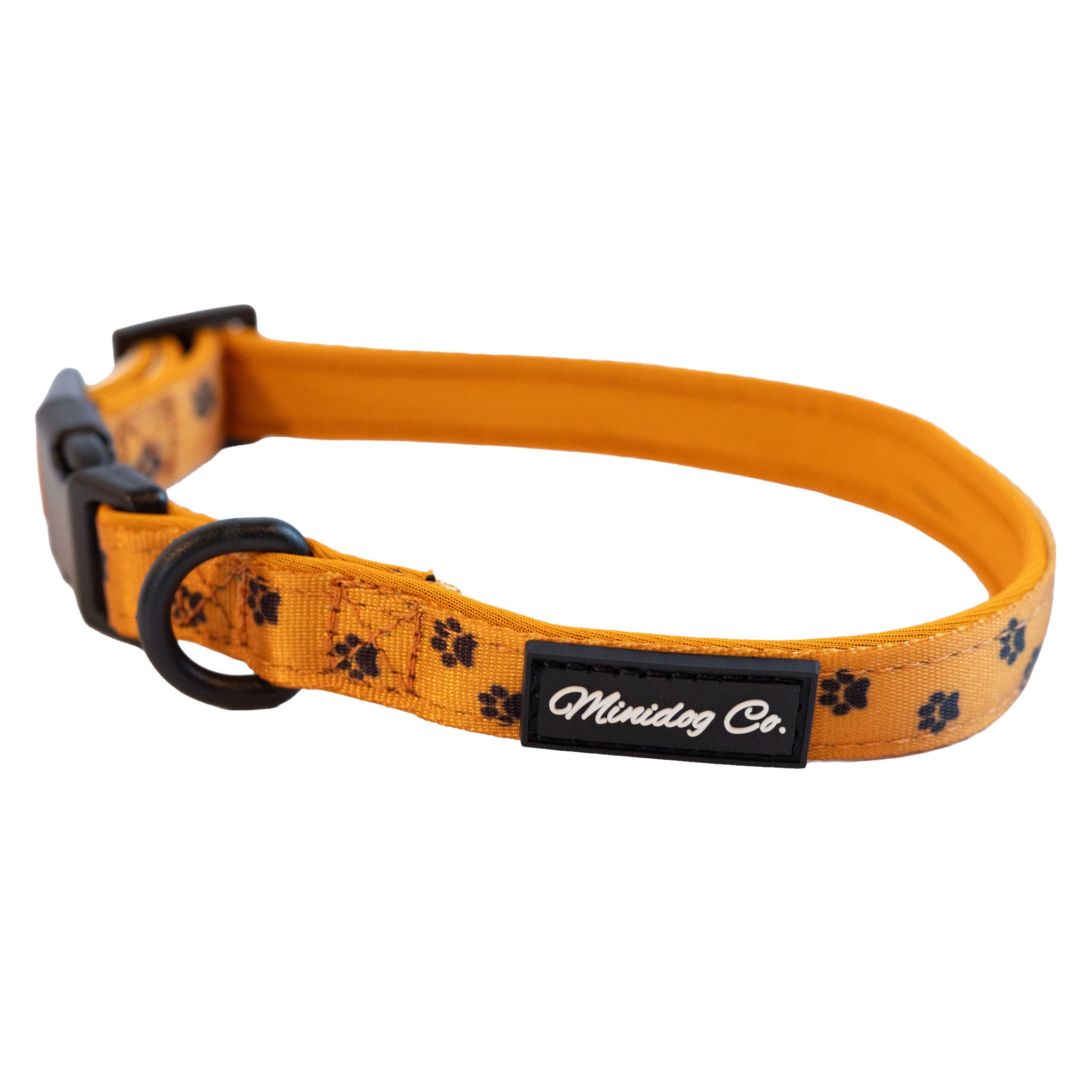 Orange Paw Print