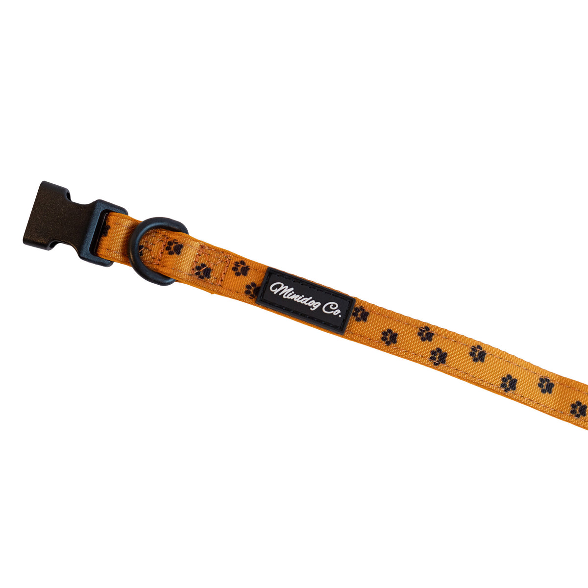 Orange Paw Print