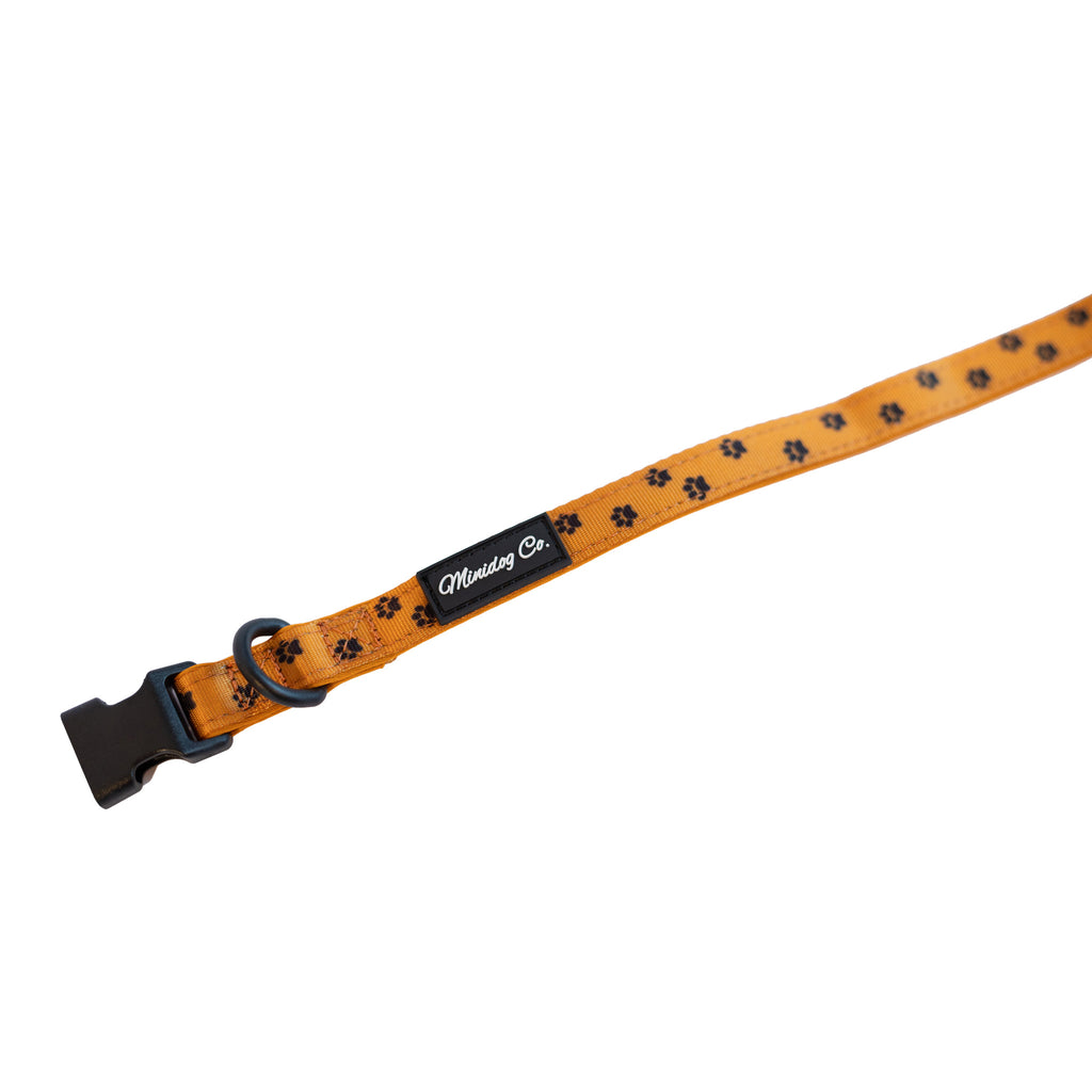 Orange Paw Print