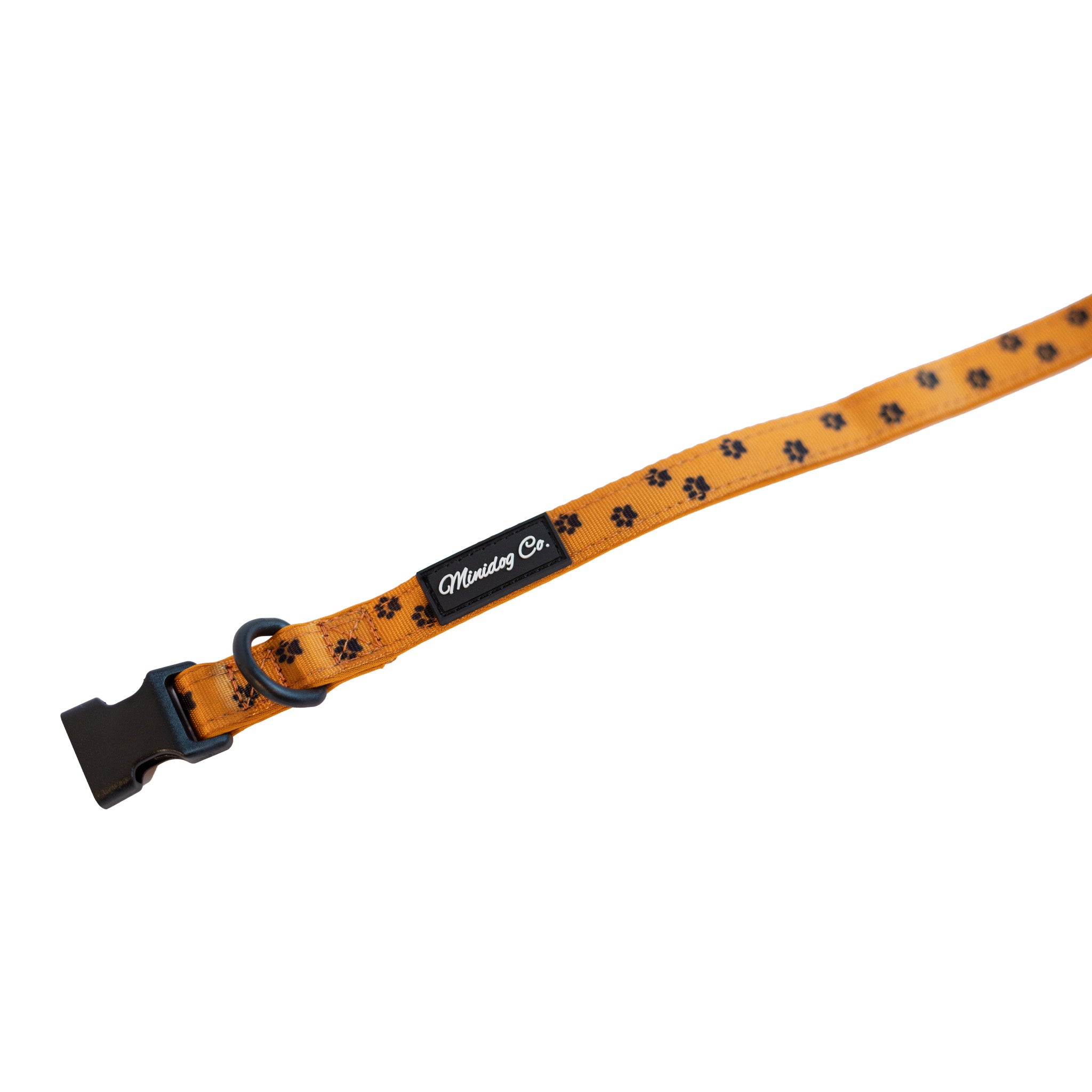 Orange Paw Print